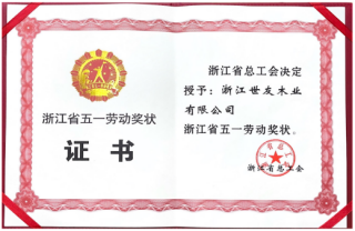 全省表彰 再启征程 | 优游国际木业荣获“浙江省五一劳动奖状”